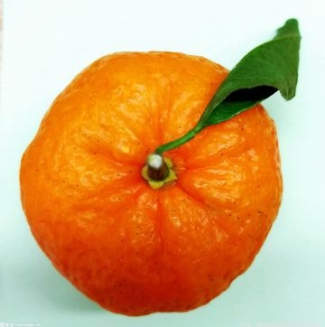 更年期是一道“人生大坎” 饮食上建议多吃橙黄色果蔬