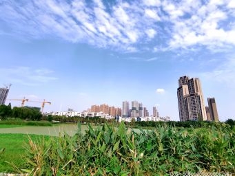 中国十大城市人口是哪些？各个省份的经济发展如何？