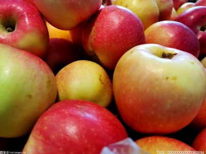 青苹果与红苹果区别是什么？青怡苹果与普通苹果的差别？